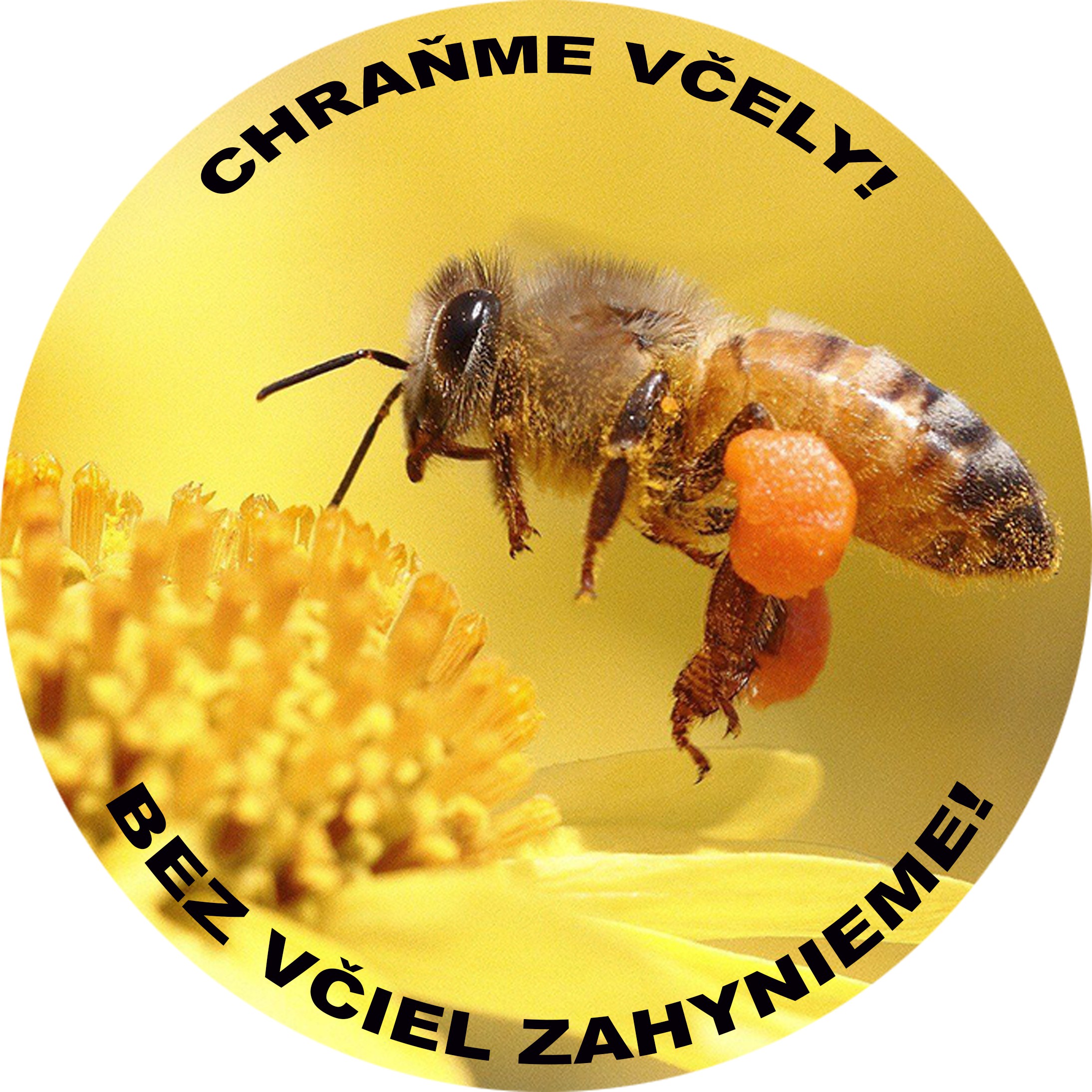 chranme-vcely.jpg